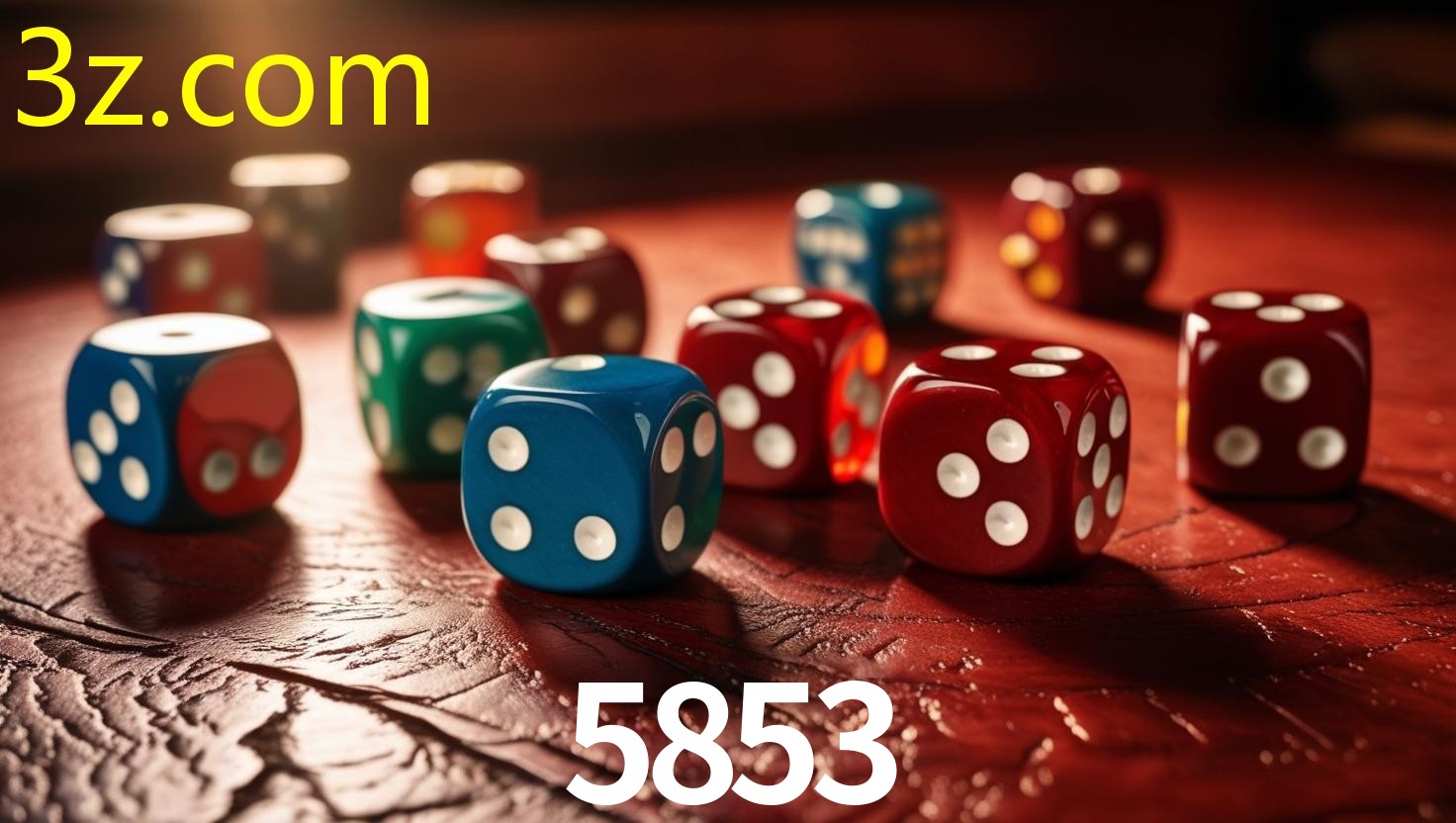 5853.COM