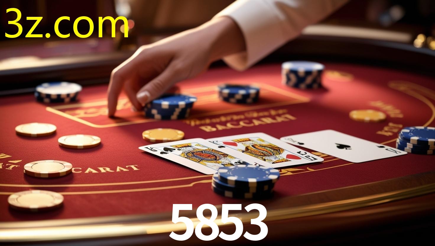 5853.COM